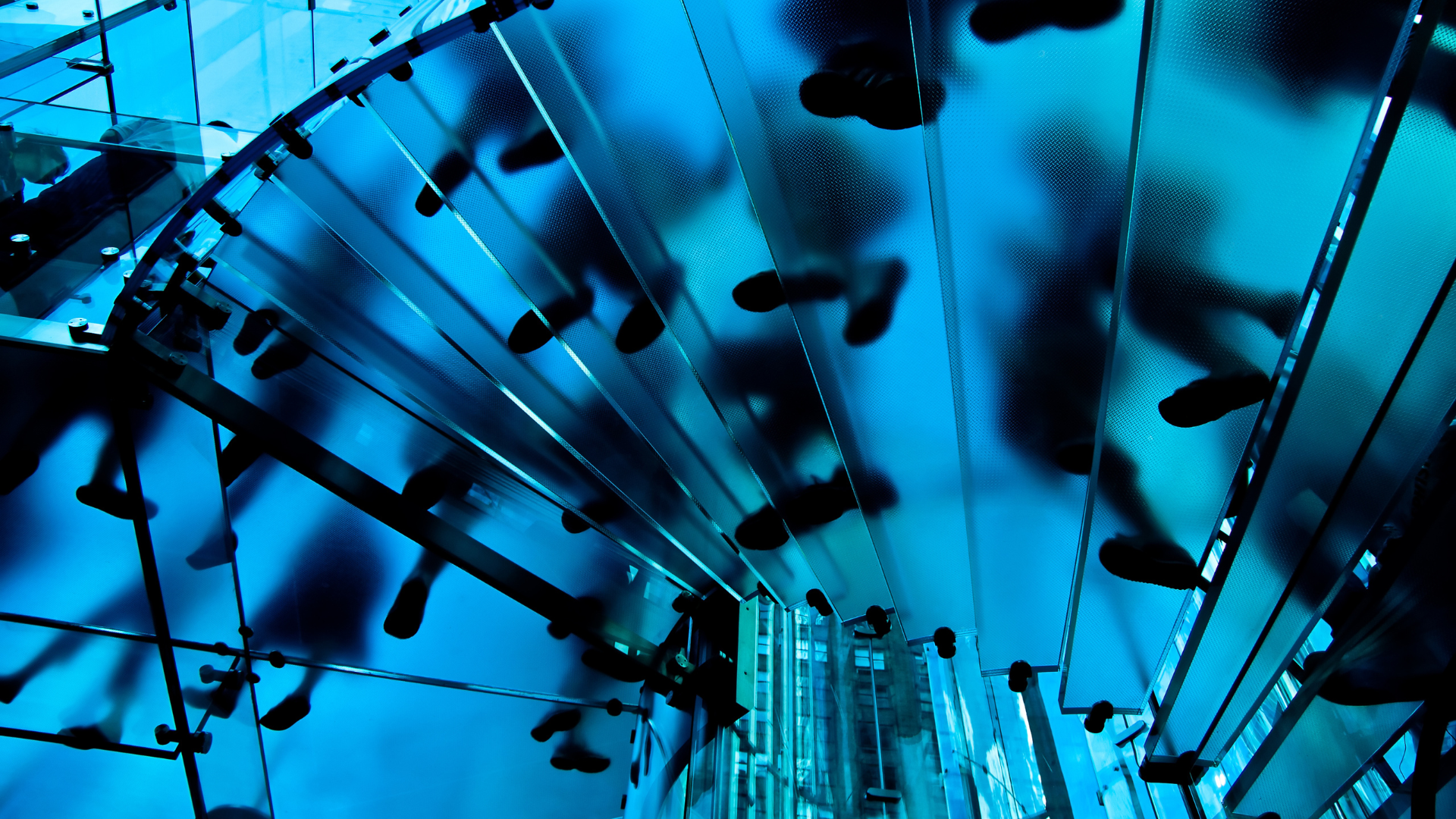 Server racks colocation